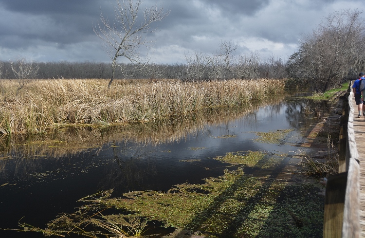 state park landscape